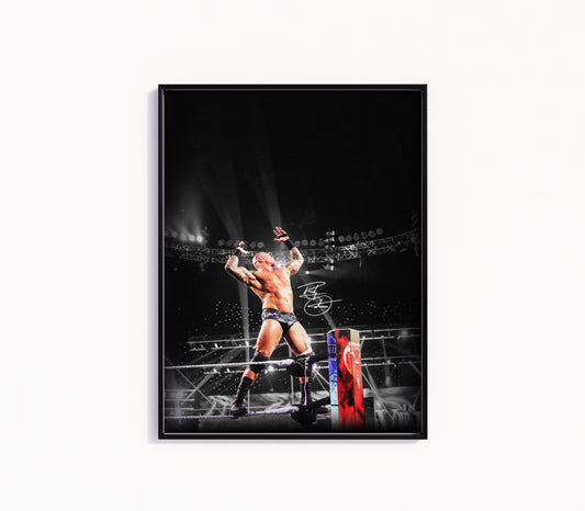 Randy Orton Poster